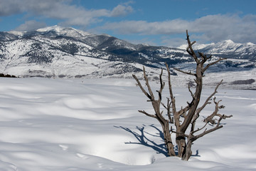 Fototapeta na wymiar Yellowstone Mountain Landscape in Winter