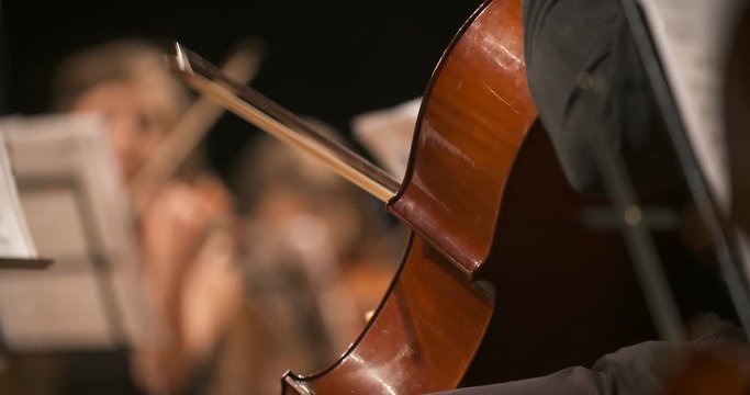 woman playing cello on concert