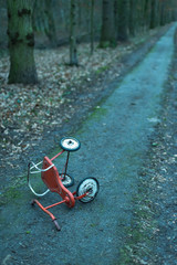Abandoned tricycle on forest path.