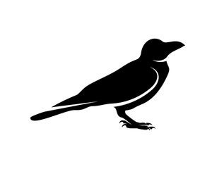 Raven bird logo vector template, Black silhouette of a crow on an isolated background