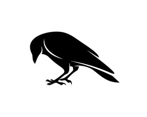 Raven bird logo vector template, Black silhouette of a crow on an isolated background