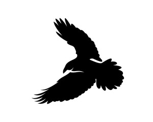 Raven bird logo vector template, Black silhouette of a crow on an isolated background
