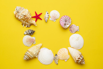Hello Summer pattern background. Frame of White seashells, red starfish isolated on yellow backdrop. Top view travel or vacation concept. Flat lay