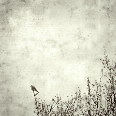  old paper background