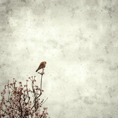  old paper background