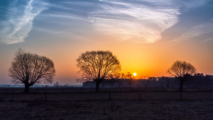 Krajobraz wiejski Podlasia, Podlaskie wierzby, Polska © podlaski49