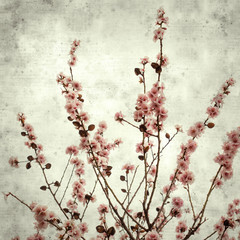  old paper background