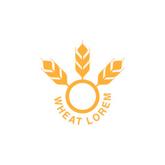 Wheat or barley ears. Harvest wheat grain, growth rice stalk and whole bread grains or field cereal nutritious rye grained agriculture products ear symbol.