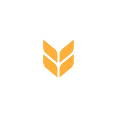 Wheat or barley ears. Harvest wheat grain, growth rice stalk and whole bread grains or field cereal nutritious rye grained agriculture products ear symbol.