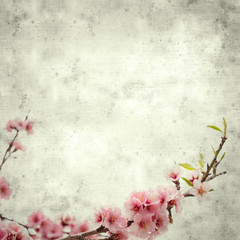 old paper background