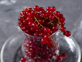 red currants in a glass turkish cup
