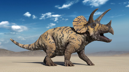Triceratops, dinosaur reptile roaring, prehistoric Jurassic animal in deserted nature environment, 3D illustration - obrazy, fototapety, plakaty