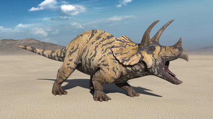 Triceratops, dinosaur reptile roars, prehistoric Jurassic animal in deserted nature environment, 3D illustration © freestyle_images