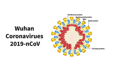 Wuhan Coronavirues 2019-nCoV Molecule labeled visualization detailed representation medical Chinese virus.