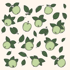 Vector illustration with green apples on beige background. Design elements.