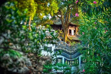 Beautiful Chinese style traditional wooden building hidden in the middle of lush vegetation. Selective focus effect obtained in camera with special lens.