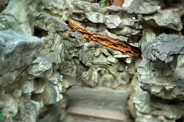 Gateway in the middle of brown and grey rocks canyon.