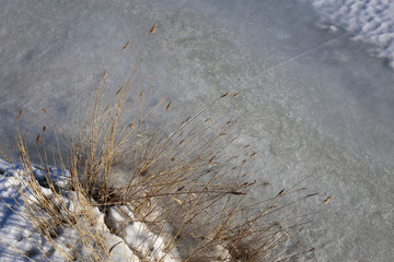 Small frozen river with snowy ground and brown herbaceous perennial plants. Photographed from a high angle view in Finland during a sunny winter day. Closeup color image.