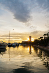 Fototapeta premium Port with boats and in Alicante