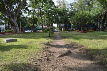 parque 