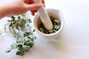 mortar and pestle with herbs and spices