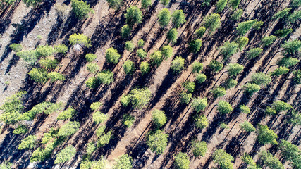 Birds Eye View of Phil's Trail in Bend Oregon