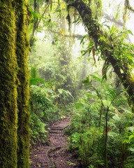 The Monteverde Cloud Forest Reserve (Reserva Biológica Bosque Nuboso Monteverde) is a Costa Rican reserve located along the Cordillera de Tilarán within the Puntarenas and Alajuela provinces.