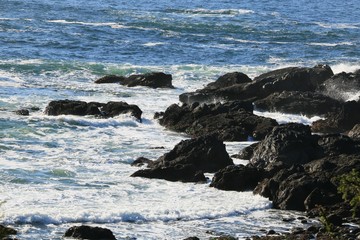 Sunny Day on the Ocean