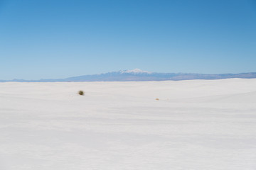 A snow capped mountain peak in the background of White Sands in New Mexico. 
