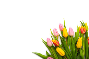 Banner with a bouquet of tulips on white background. Flat lay, top view with copyspace isolated on white. International Women's Day, spring concept.