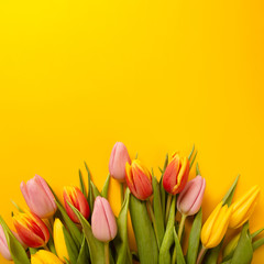 Square background with a bouquet of tulips on an yellow background. Flat lay, top view with copyspace. International Women's Day, spring concept.