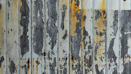 Old wood plank gray texture with chipped white paint scratched and damaged by time with red spots from rusty nails as background, rustic wooden backdrop