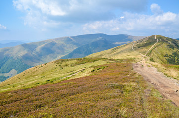 Mountain ridges and a path stretching into the distance. Hillsides of Svydovets ridge, Dragobrat,...