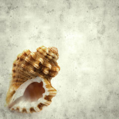  old paper background