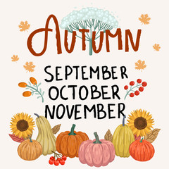 Autumn harvest. Pumpkins and inscription Autumn. Vector illustration.