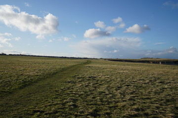 Landscape with large open field, blue sky with low clouds.