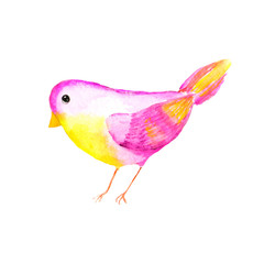 Watercolor pink bright bird isolated on a white background. Bright children's character.