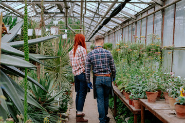 In a large flower greenhouse redhead gardener woman and her colleague analyzing the health of the plant and have a friendly conversation