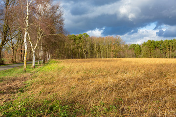 Fototapeta premium Scenic landscape near Sassenberg in Westphalia, Germany, stormy weather with sunshine in February
