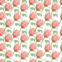  seamless pattern with roses print textile paper flowers petals and leaves flower bloom flora spring summer holidays March 8 congratulations watercolor illustration hand-drawn separately on a white ba