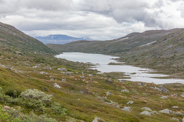 Norwegian summer landscape, wonderful view of snow-capped mountains with clean, cold air in summer, selective focus.