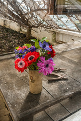 Flowers and Secateurs in the greenhouse