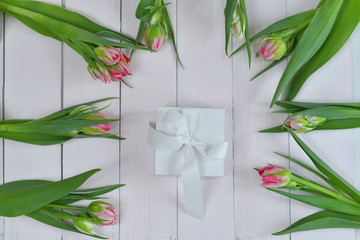 Obraz premium Valentines Day romantic background with white gift box and pinkTulips. Greeting card with pink Tulips .Spring card template. Women's Day. Greeting card for mother's day. Copy space. Selective focus