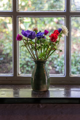 Flowers in the window