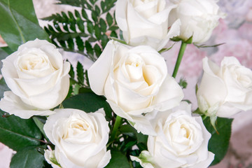 Fototapeta na wymiar white fresh roses in a pink wedding background