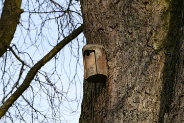 Birdbox - box as house for bird animal