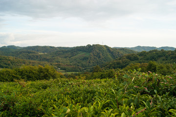 Mountain landscape, view from the top to the green mountains of the Caucasus.