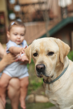 Sad dog sitting next to a mother and baby in the garden, Italy