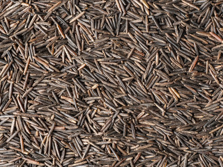 Wild black rice top view, texture.