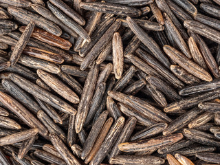 Wild black rice top view, texture.